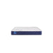 Sealy Resting Manor Foam Mattress - Massey's Furniture Barn (Watertown, NY) 