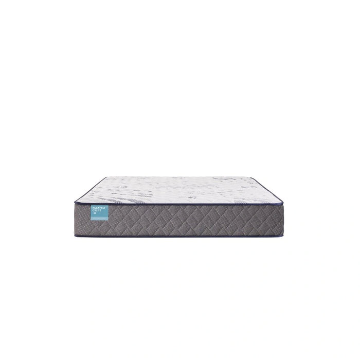 Greyfield Innerspring Mattress - Massey's Furniture Barn (Watertown, NY) 