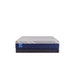 Sealy Pacific Rest Hybrid Mattress - Massey's Furniture Barn (Watertown, NY) 
