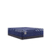 Sealy Annapolis Hybrid Mattress - Massey's Furniture Barn (Watertown, NY) 