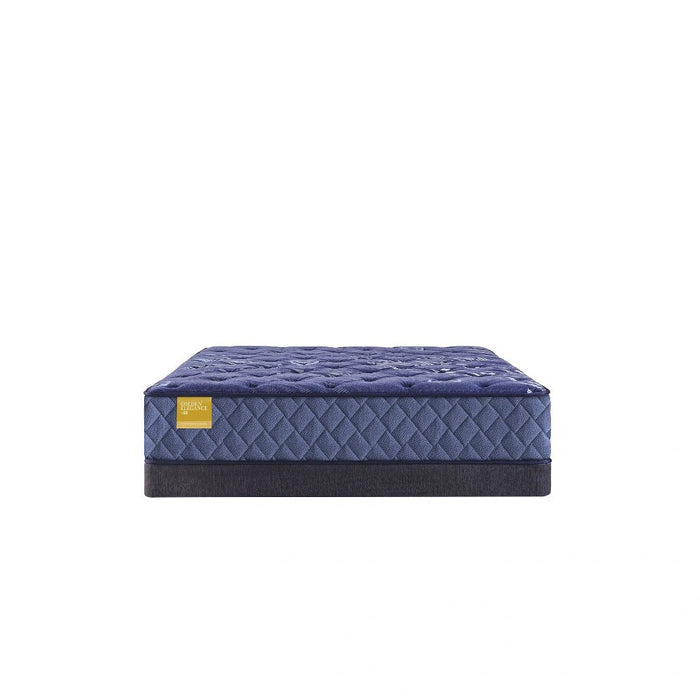 Sealy Remmington Innerspring Mattress - Massey's Furniture Barn (Watertown, NY) 
