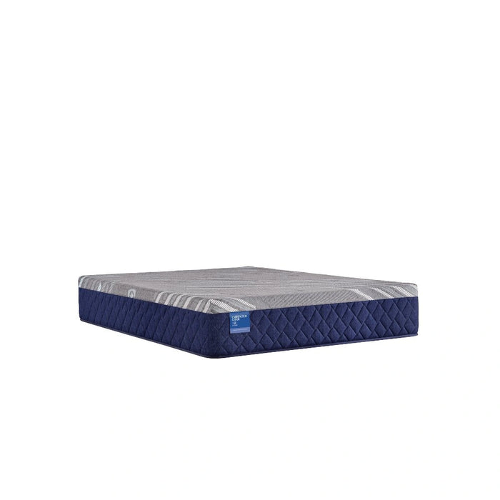 Sealy Midnight Cove Hybrid Mattress - Massey's Furniture Barn (Watertown, NY) 