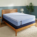Fayette Hybrid Mattress - Massey's Furniture Barn (Watertown, NY) 