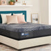 Brenham Hybrid Mattress - Massey's Furniture Barn (Watertown, NY) 