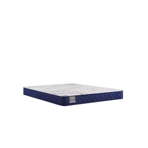 Sealy Oconee Foam Mattress - Massey's Furniture Barn (Watertown, NY) 