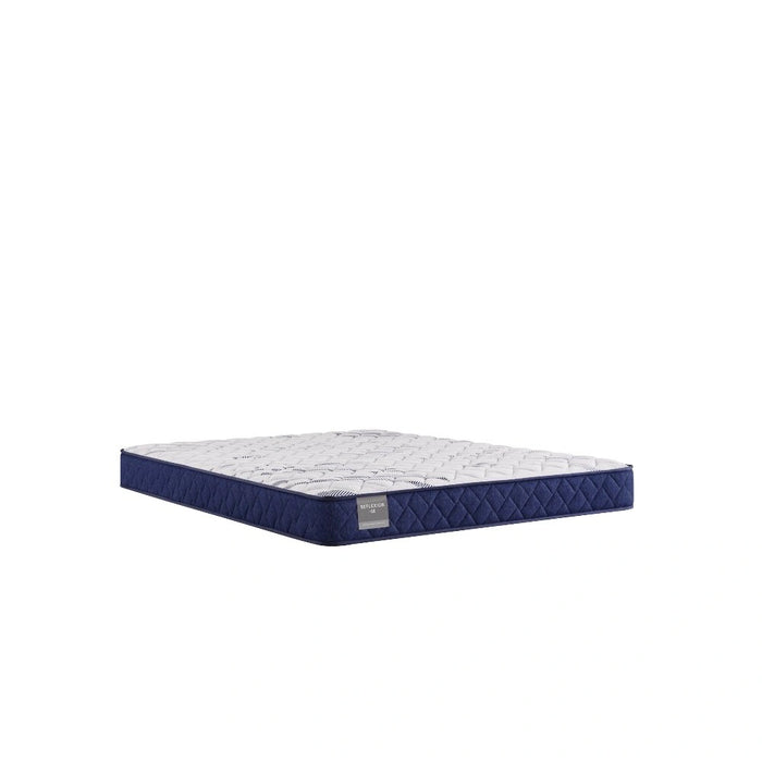 Sealy Oconee Foam Mattress - Massey's Furniture Barn (Watertown, NY) 