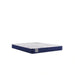 Sealy Oconee Foam Mattress - Massey's Furniture Barn (Watertown, NY) 