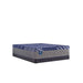 Sealy Eighth & Park Hybrid Mattress - Massey's Furniture Barn (Watertown, NY) 