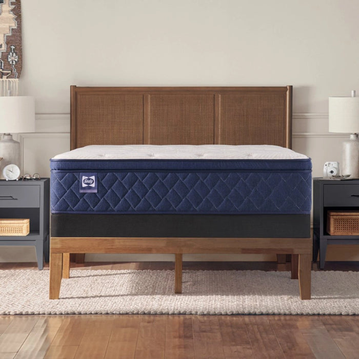 Desert Rose Spring Mattress - Massey's Furniture Barn (Watertown, NY) 