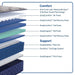 Sealy Garden Hills Spring Mattress - Massey's Furniture Barn (Watertown, NY) 
