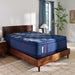 Sealy Albany II Spring Mattress - Massey's Furniture Barn (Watertown, NY) 