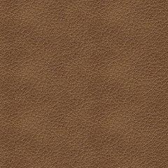 Bolsena Sofa Sleeper - Massey's Furniture Barn (Watertown, NY) 