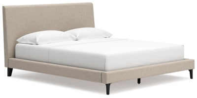 Cielden Upholstered Bed with Roll Slats - Massey's Furniture Barn (Watertown, NY) 