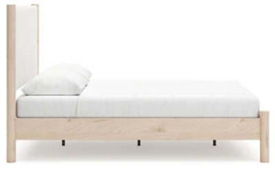 Cadmori Upholstered Bed - Massey's Furniture Barn (Watertown, NY) 