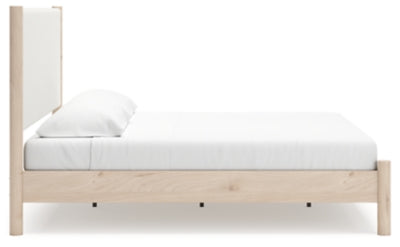 Cadmori Upholstered Bed - Massey's Furniture Barn (Watertown, NY) 