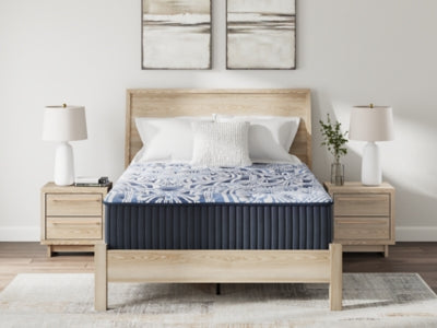 Firm Luxe 2.0 Mattress - Massey's Furniture Barn (Watertown, NY) 