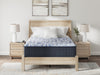 Firm Luxe 2.0 Mattress - Massey's Furniture Barn (Watertown, NY) 