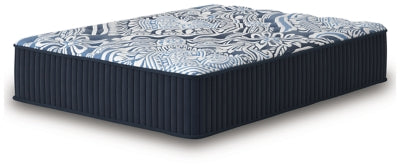 Firm Luxe 2.0 Mattress - Massey's Furniture Barn (Watertown, NY) 