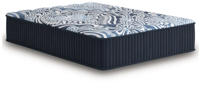 Firm Luxe 2.0 Mattress - Massey's Furniture Barn (Watertown, NY) 