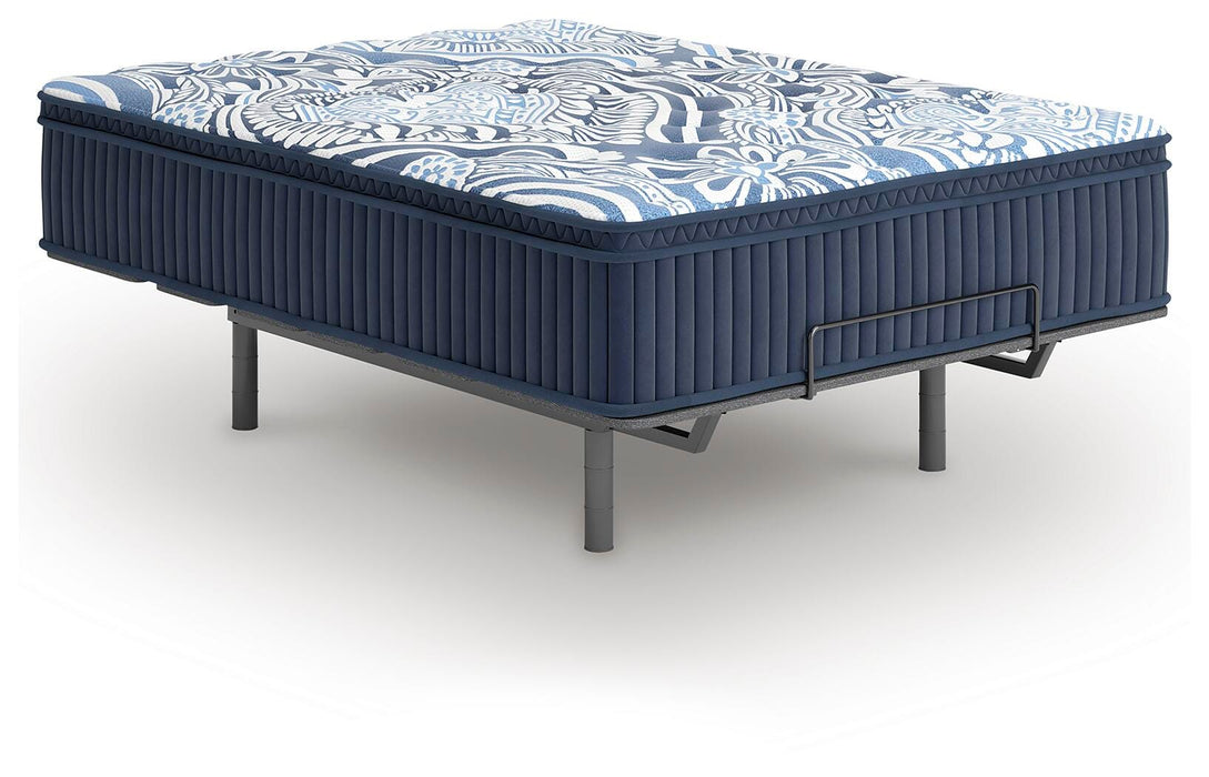 Plush Luxe 2.0 Mattress - Massey's Furniture Barn (Watertown, NY) 