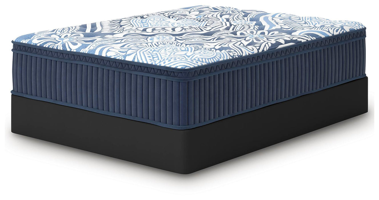 Plush Luxe 2.0 Mattress - Massey's Furniture Barn (Watertown, NY) 