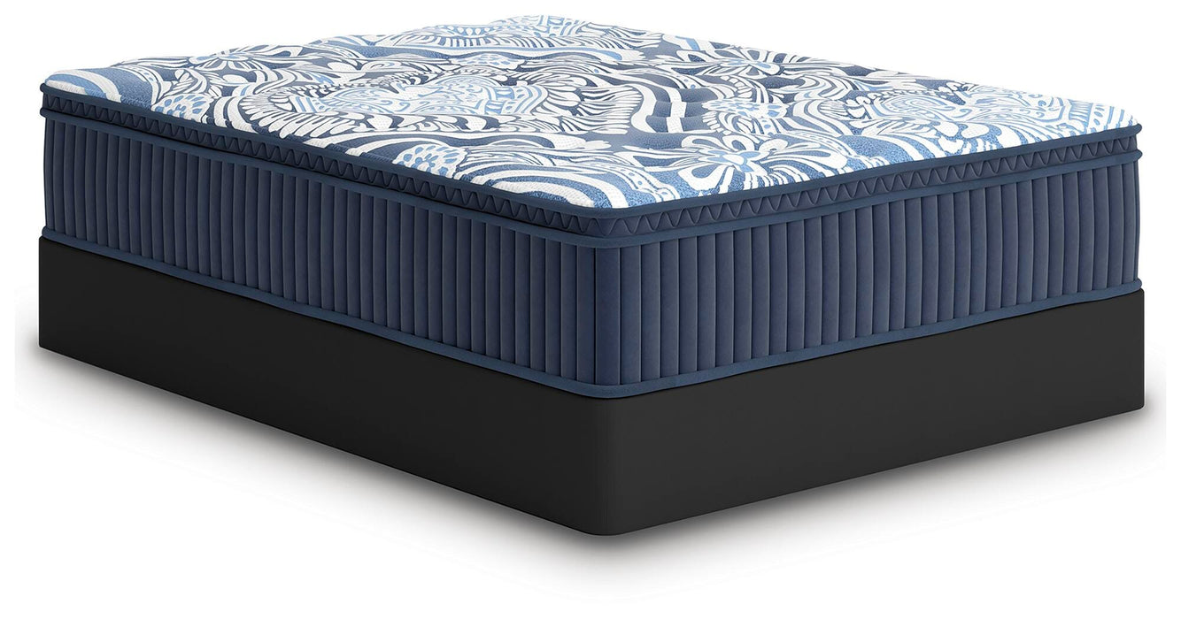 Plush Luxe 2.0 Mattress - Massey's Furniture Barn (Watertown, NY) 