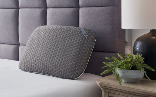 Zephyr 2.0 Graphene Contour Pillow (6/Case) - Massey's Furniture Barn (Watertown, NY) 