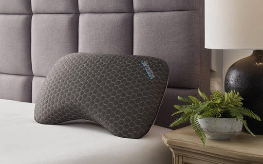 Zephyr 2.0 Graphene Curve Pillow (6/Case) - Massey's Furniture Barn (Watertown, NY) 