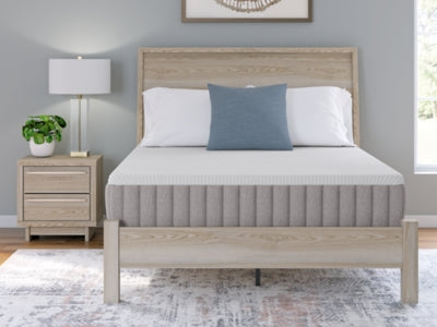 Terra Sleep Firm Mattress - Massey's Furniture Barn (Watertown, NY) 