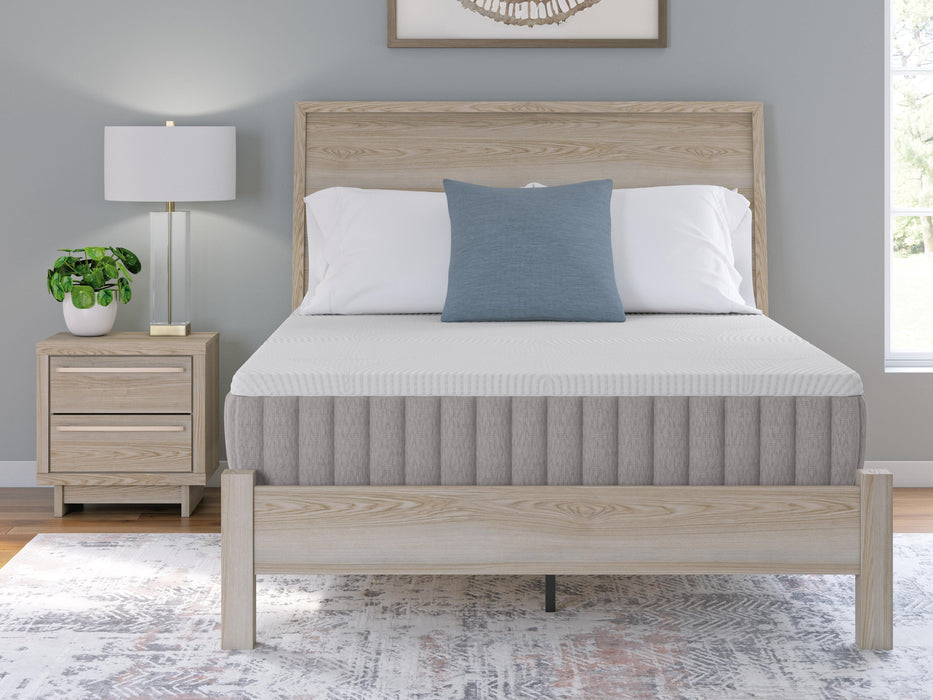 Terra Sleep Firm Mattress - Massey's Furniture Barn (Watertown, NY) 