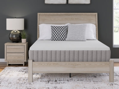Terra Sleep Medium Mattress - Massey's Furniture Barn (Watertown, NY) 