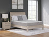 Terra Sleep Medium Mattress - Massey's Furniture Barn (Watertown, NY) 