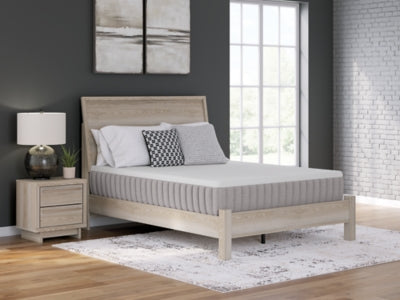 Terra Sleep Medium Mattress - Massey's Furniture Barn (Watertown, NY) 