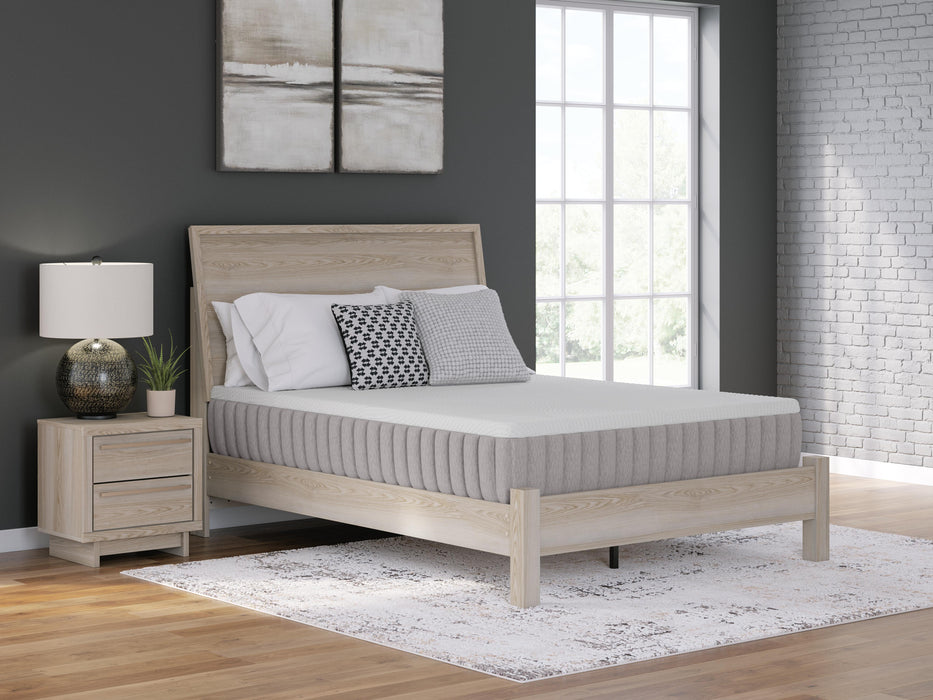 Terra Sleep Medium Mattress - Massey's Furniture Barn (Watertown, NY) 