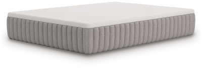 Terra Sleep Soft Mattress - Massey's Furniture Barn (Watertown, NY) 