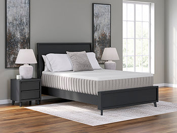 Terra Sleep Soft Mattress - Massey's Furniture Barn (Watertown, NY) 