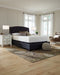 Chime 12 Inch Memory Foam Mattress in a Box - Massey's Furniture Barn (Watertown, NY) 