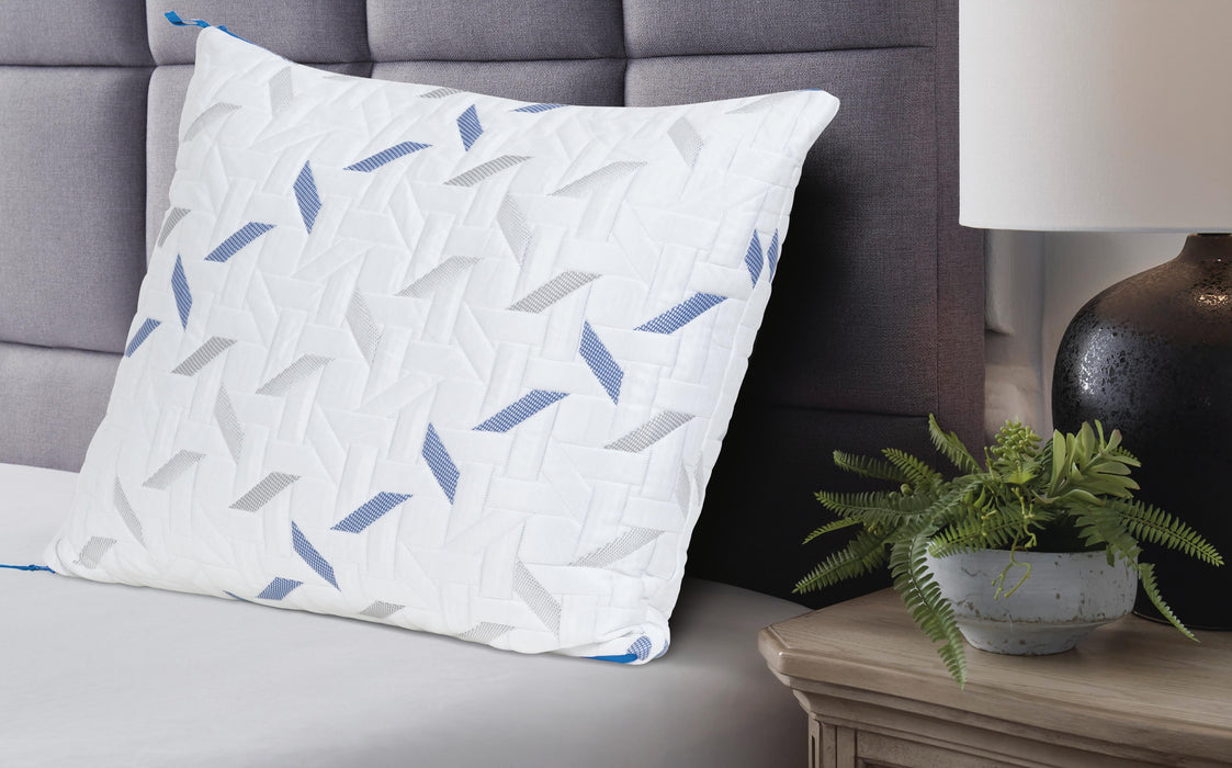 Nectar Classic / Pillow - Massey's Furniture Barn (Watertown, NY) 