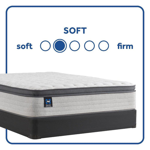 Sealy Spring Bloom EPT Mattress - Massey's Furniture Barn (Watertown, NY) 