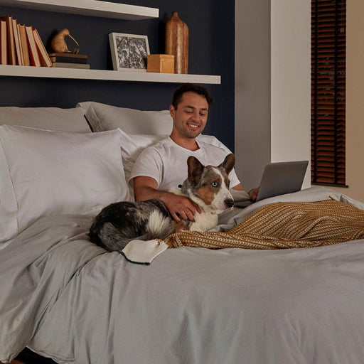 Sealy Hotel SP1 Firm/Ultra Innerspring Mattress - Massey's Furniture Barn (Watertown, NY) 