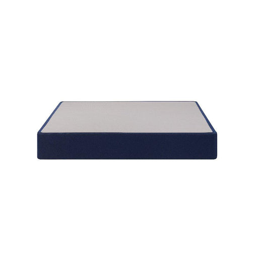 Sealy® 2025 Foundation - High Profile Foundation - Massey's Furniture Barn (Watertown, NY) 