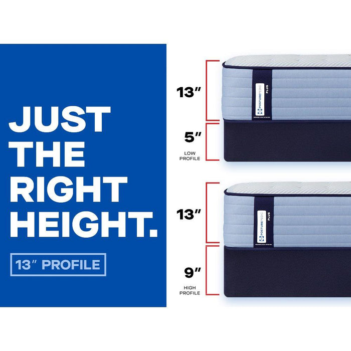 Plainfield Spring Mattress - Massey's Furniture Barn (Watertown, NY) 