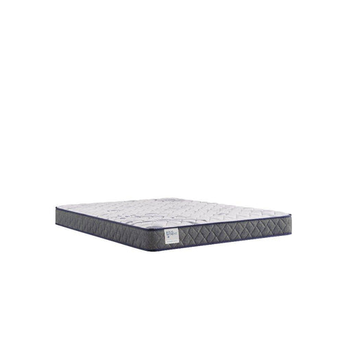Sealy Paisley Foam Mattress - Massey's Furniture Barn (Watertown, NY) 