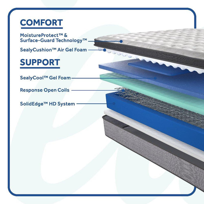 Spring Bloom EPT Mattress - Massey's Furniture Barn (Watertown, NY) 