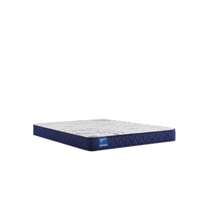 Resting Manor Foam Mattress