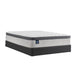 Spring Bloom EPT Mattress - Massey's Furniture Barn (Watertown, NY) 