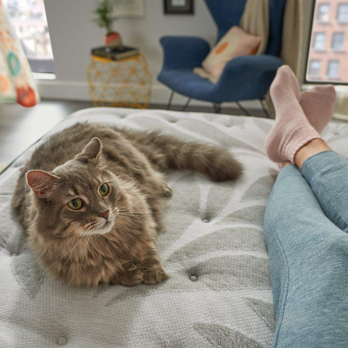 Lavina II Innerspring Mattress