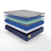 Royal Park Hybid Hybrid Mattress - Massey's Furniture Barn (Watertown, NY) 