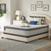 Spring Bloom EPT Mattress - Massey's Furniture Barn (Watertown, NY) 