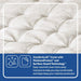 Spring Bloom EPT Mattress - Massey's Furniture Barn (Watertown, NY) 